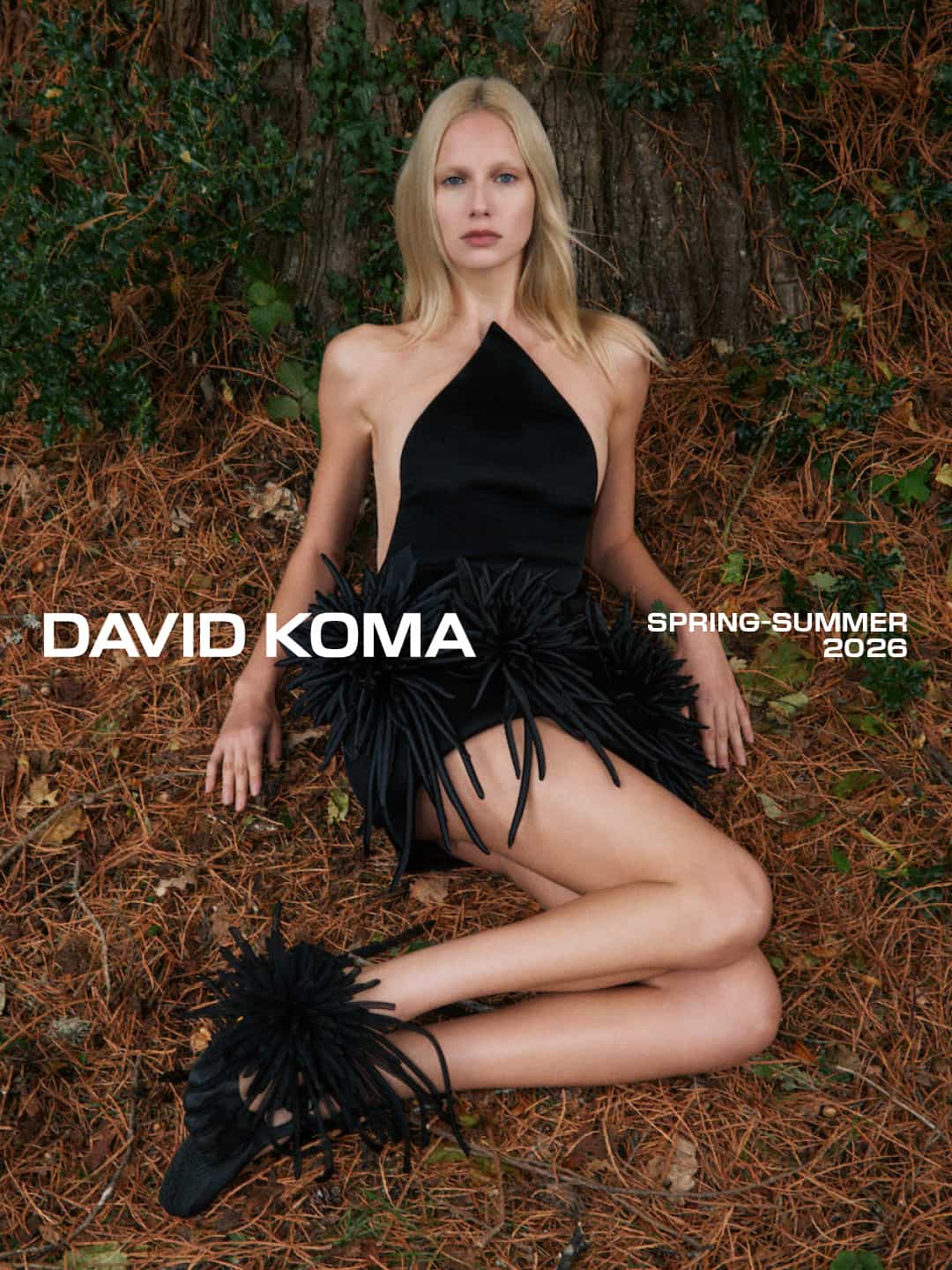 eschenlauer-sinic_david-koma_poster_09.jpg